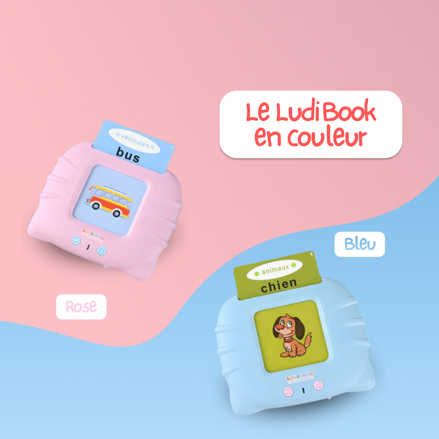 Le LudiBook™